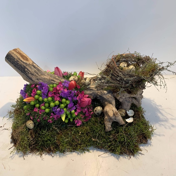 vogelnest