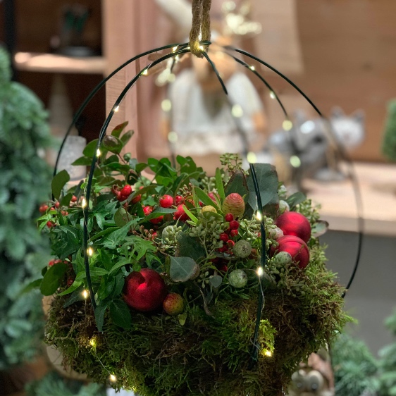 hanging basket